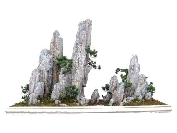 越高档越讲究的家庭 我们的盆景就越会受到欢迎