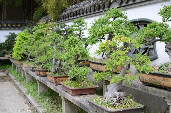 盆景园工程施工管理特点分析