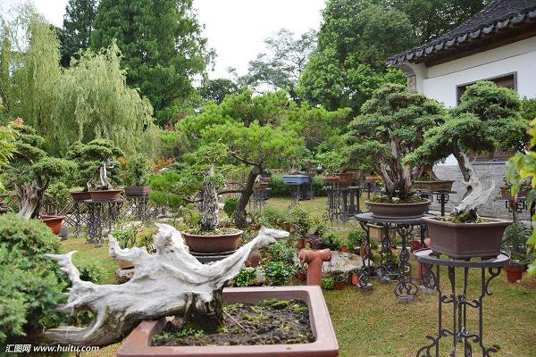 盆景园的建设是文化生活和旅游业发展的需要