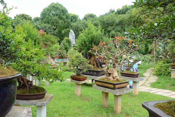 盆景园相关理论基础