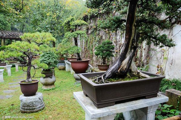 盆景园中空间的组合手法归纳总结为以下几点