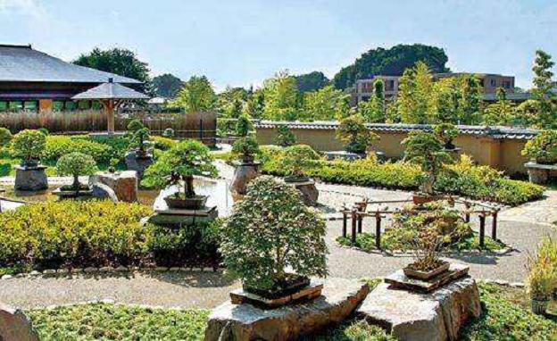 对日本盆景园案例的分析--大宫盆景村