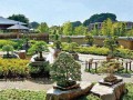 对日本盆景园案例的分析大宫盆景村
