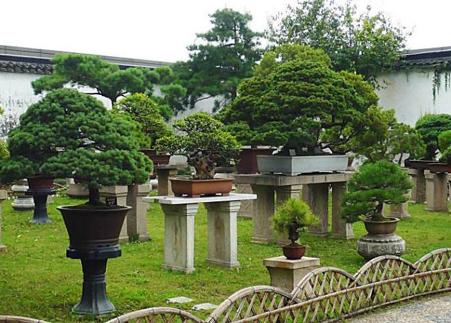 桂林盆景园的基址选择与空间布局