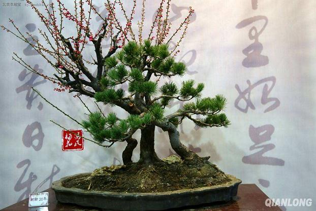 盆景园规划设计思路和策略