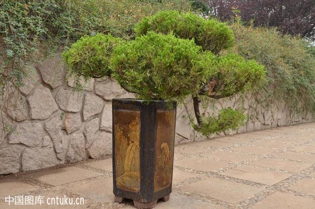 盆景园规划设计思路和策略