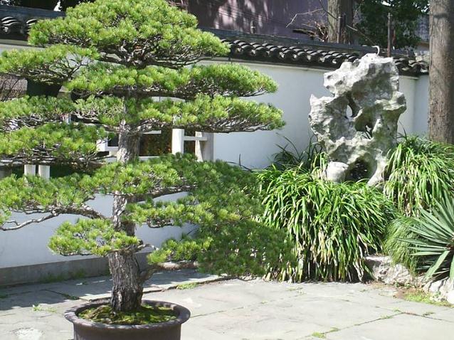 盆景园重要分区规划设计