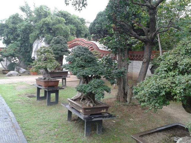 盆景园相关规划设计理论在实践项目中的运用