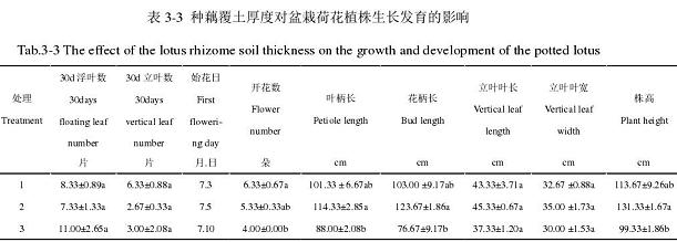 栽植方式对盆栽荷花植株生长发育的影响
