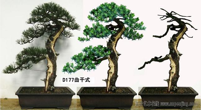 在图片搜索中 欣喜地发现了盆景艺术在线论坛