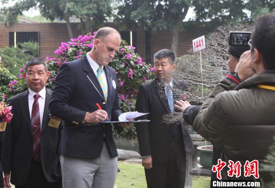 台湾盆景收藏家陈万添以1458盆的数量创造吉尼斯世界纪录