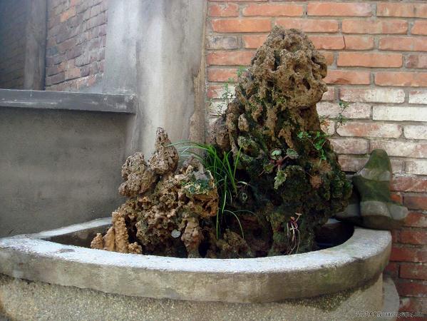 也许制作盆景永远都无法达到最高境界