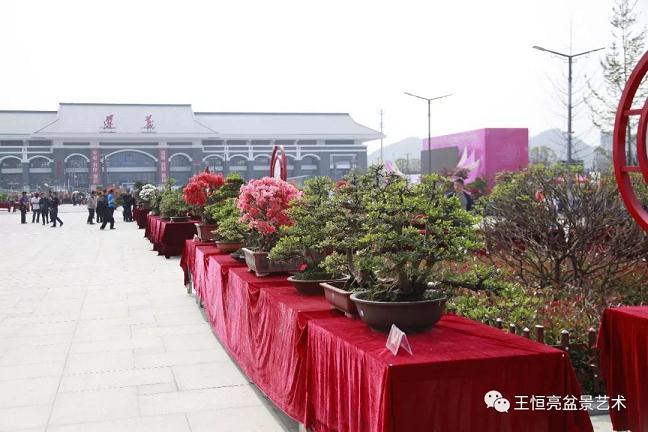 王恒亮盆景艺术公益大讲堂走进中国遵义