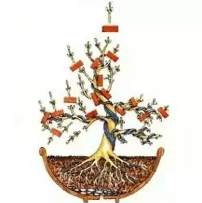 自己的盆景 不会修剪 不知道怎么制作