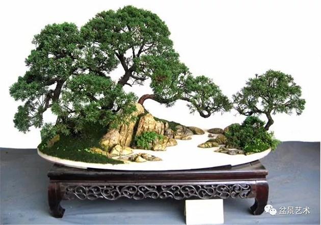 盆景造型设计的10个基本原则