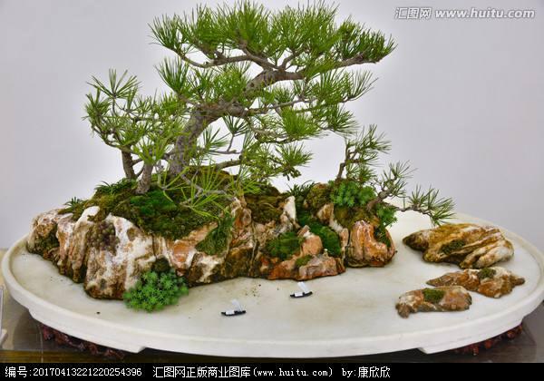 市场上好像开始流行那种深盆的山水盆景