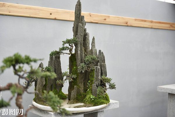 2008年 英石假山盆景列入第二批国家级非物质文化遗产