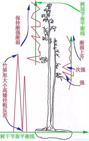 图解 文人树盆景怎么制作的过程