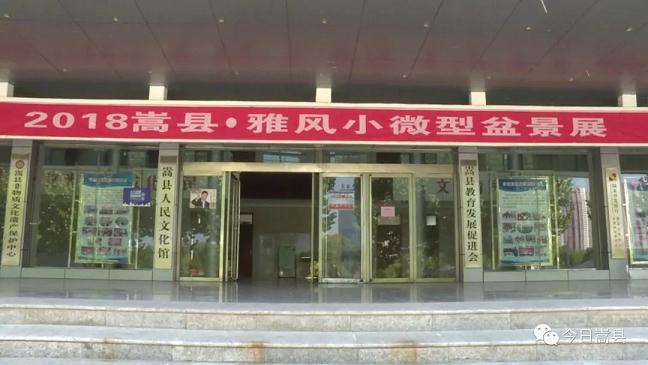 嵩县举办2018年雅风小微盆景展