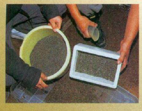 图解 日本对真柏根部怎么处理的21个步骤