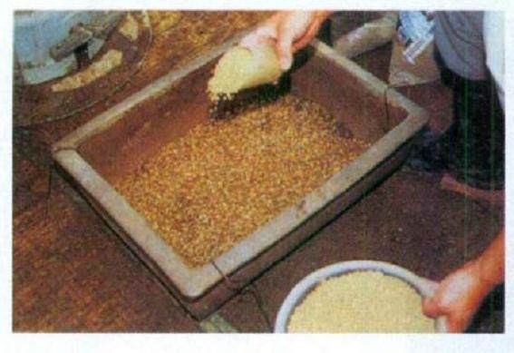 图解 日本对真柏根部怎么处理的21个步骤