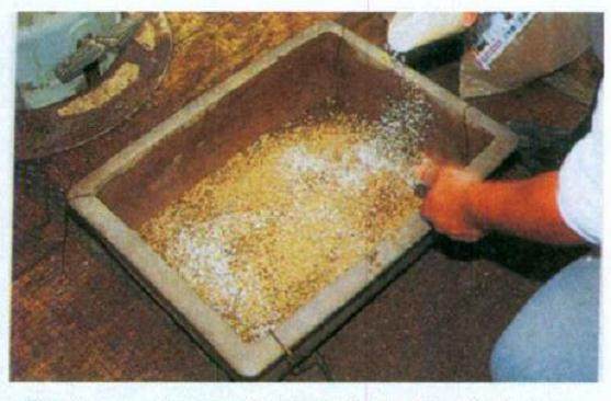 图解 日本对真柏根部怎么处理的21个步骤