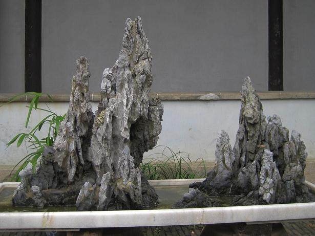 制作假山盆景月竟赚了一万多