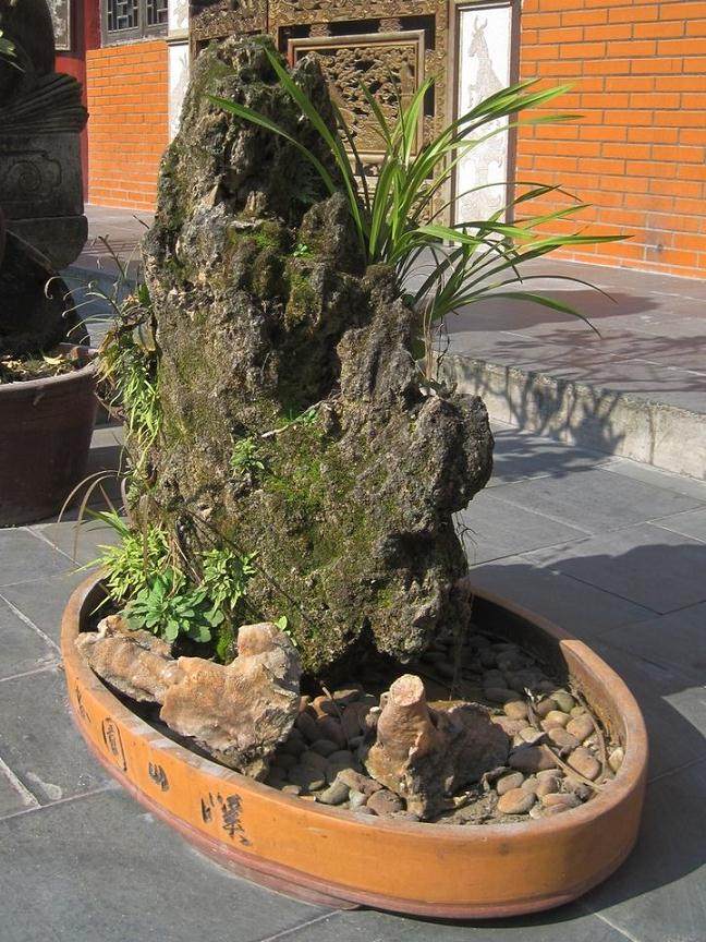 制作假山盆景月竟赚了一万多