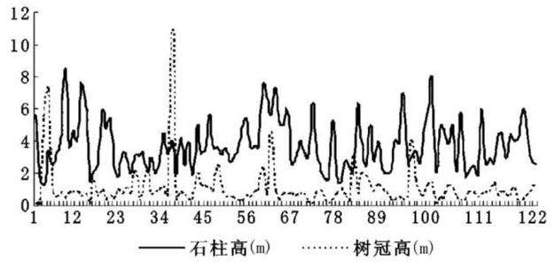 华蓥山盆景式石林及其植被相关性分析