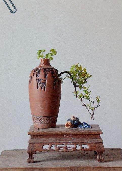 制作酒瓶盆景 每盆卖300元 月收入5万多