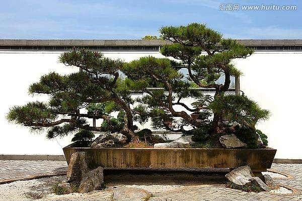 卖花渔村盆景发展的对策探讨