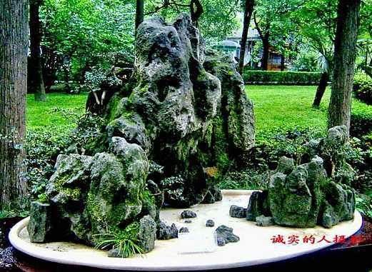 成都的这个村庄盆景有何过人之处？