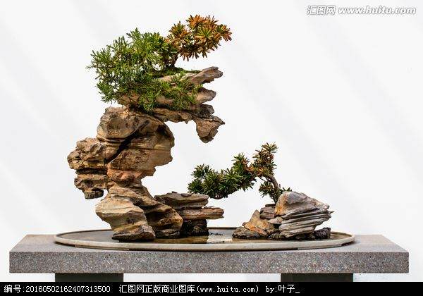 山水盆景的制作 主要是根据石料原有的形态