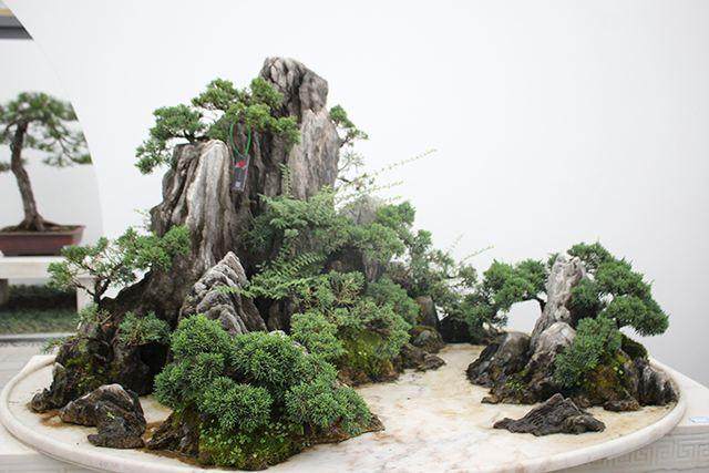 如何让山水盆景的植物与主题更加结合?