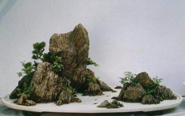 如何提高山水盆景的布局意境？