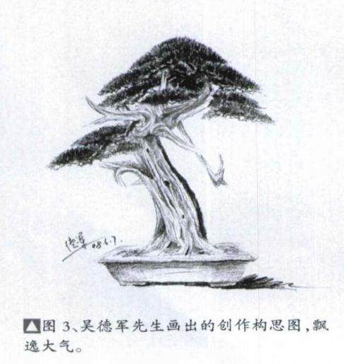 图解 刺柏盆景怎么再次制作的方法