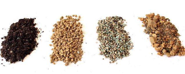 如何给盆景使用合适土壤肥料