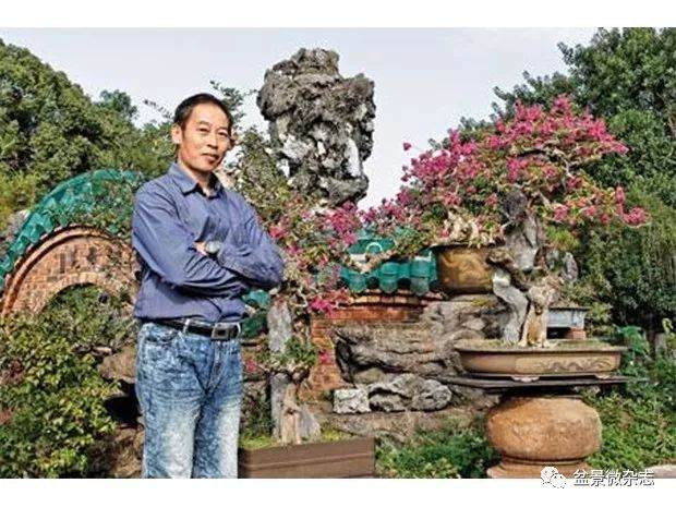 香港蔡永昌解构盆景的艺术价值