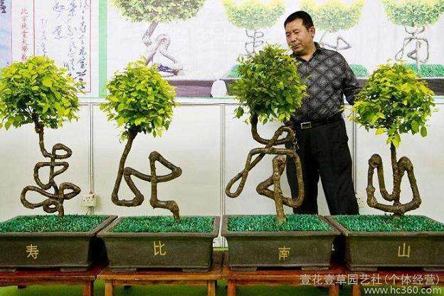 如何制作草书体带字盆景的步骤