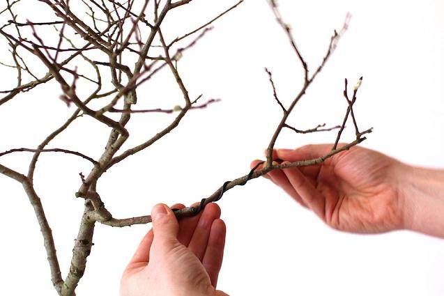 看我如何用电线来蟠扎盆景的12个步骤