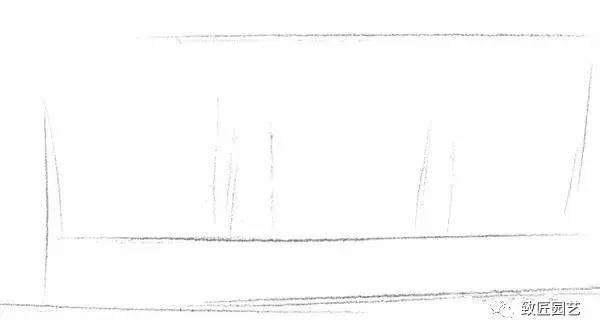 素描盆栽(盆景)的绘画教程