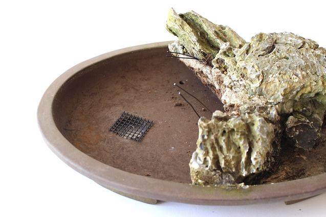 如何一步一步的来制作岩石盆景