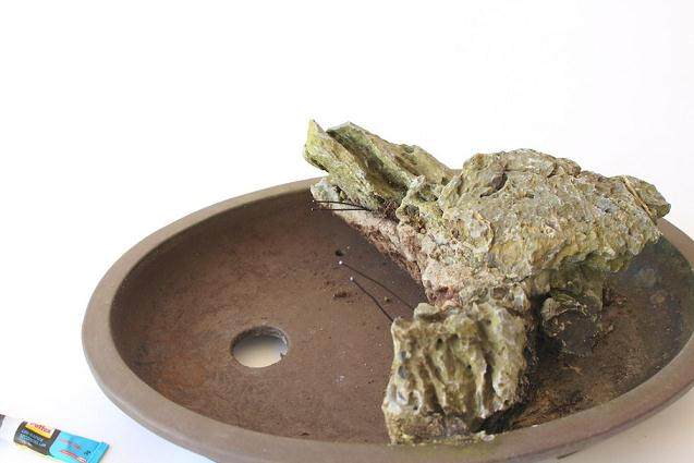 如何一步一步的来制作岩石盆景