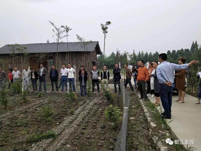 安龙镇发展小微盆景产业迈出坚实的一步