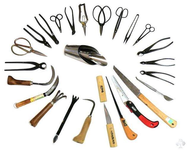 谈谈盆景工具  剪刀和钳子