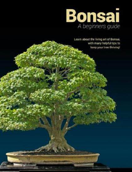 向大家推荐几本外国的盆景书籍杂志