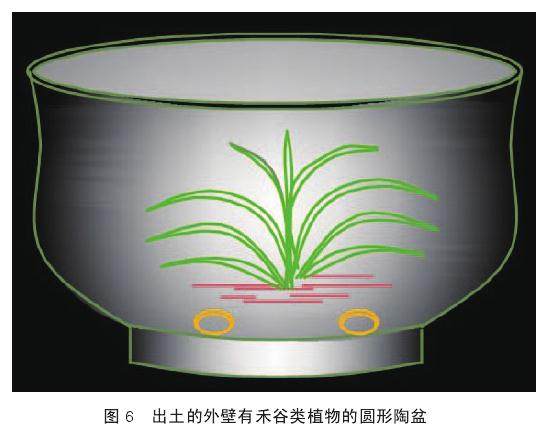  &ldquo;河姆渡时代&rdquo;确实出现了盆景