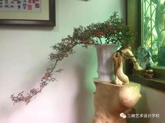 中国盆景的分类与形式