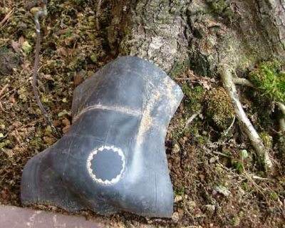 图解 本人怎么制作山楂盆景发芽的过程