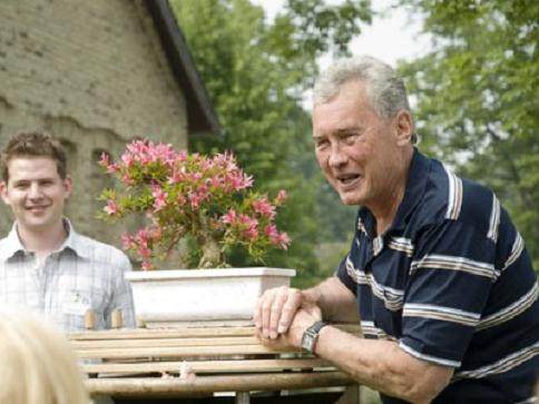 图解 本人4年来制作杜鹃花盆景的过程
